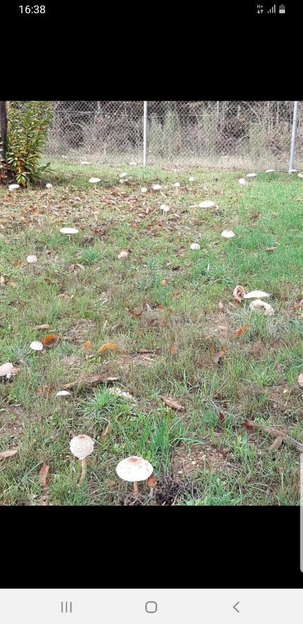 Willa Casa Jardin Mariana Lubián Zewnętrze zdjęcie
